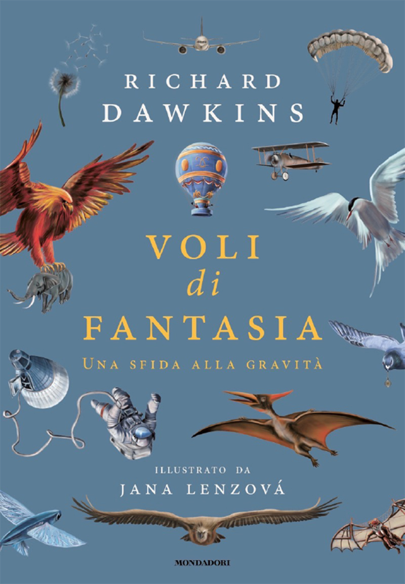 Voli di fantasia