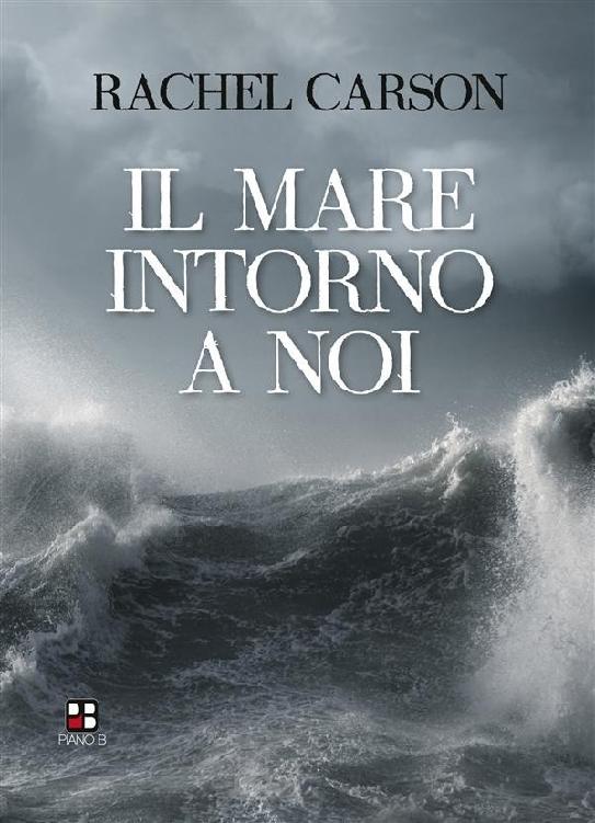 Il mare intorno a noi