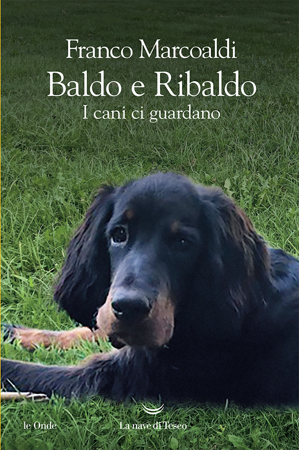 Baldo e Ribaldo. I cani ci guardano