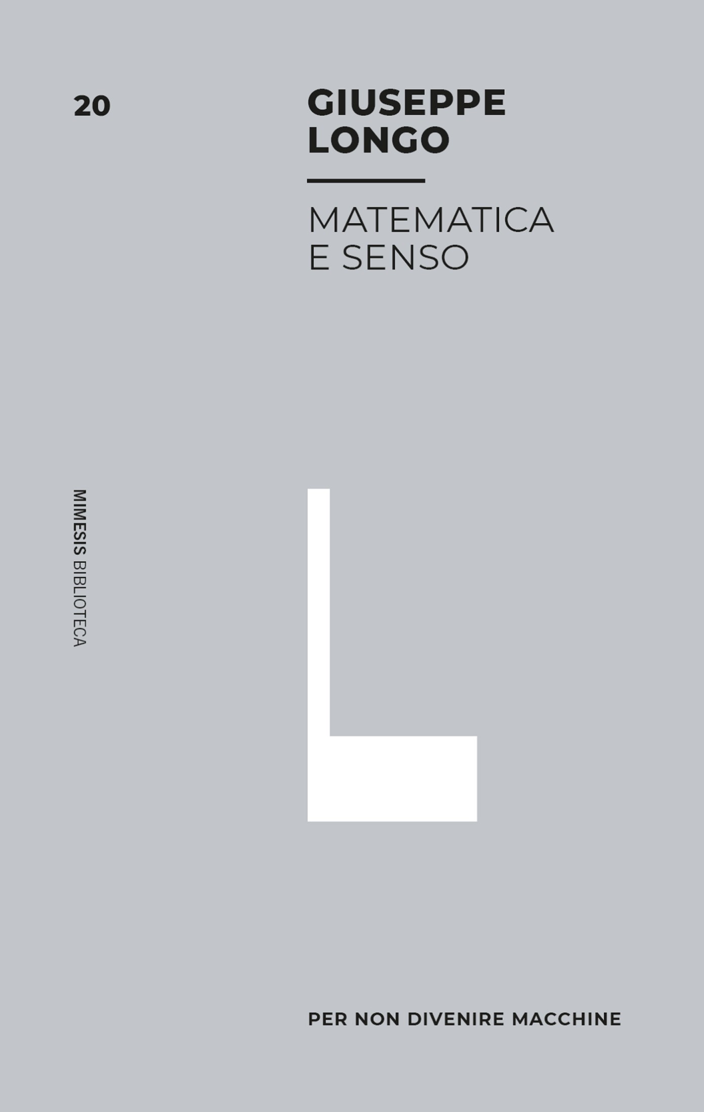 Matematica e senso