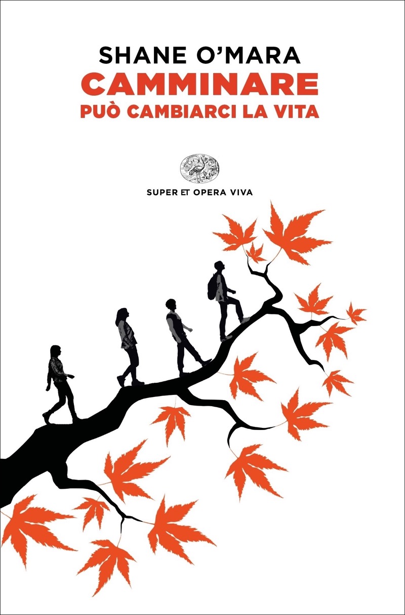 Camminare può cambiarci la vita