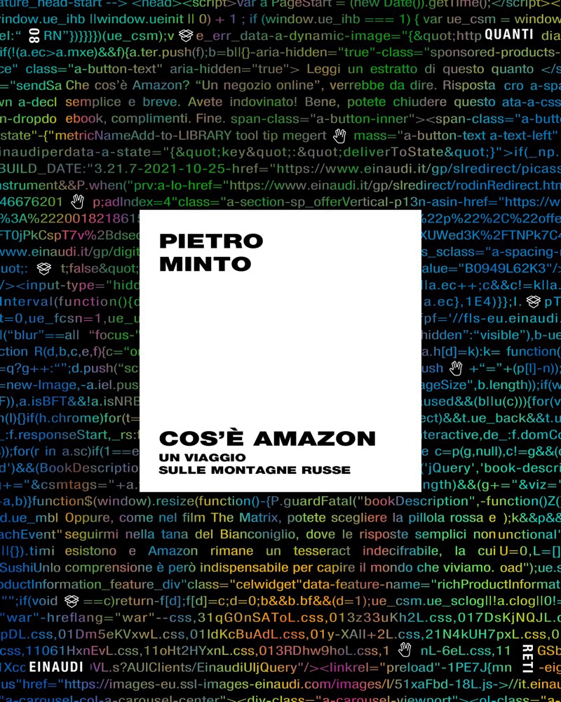 Cos'è Amazon (Quanti Einaudi 08)