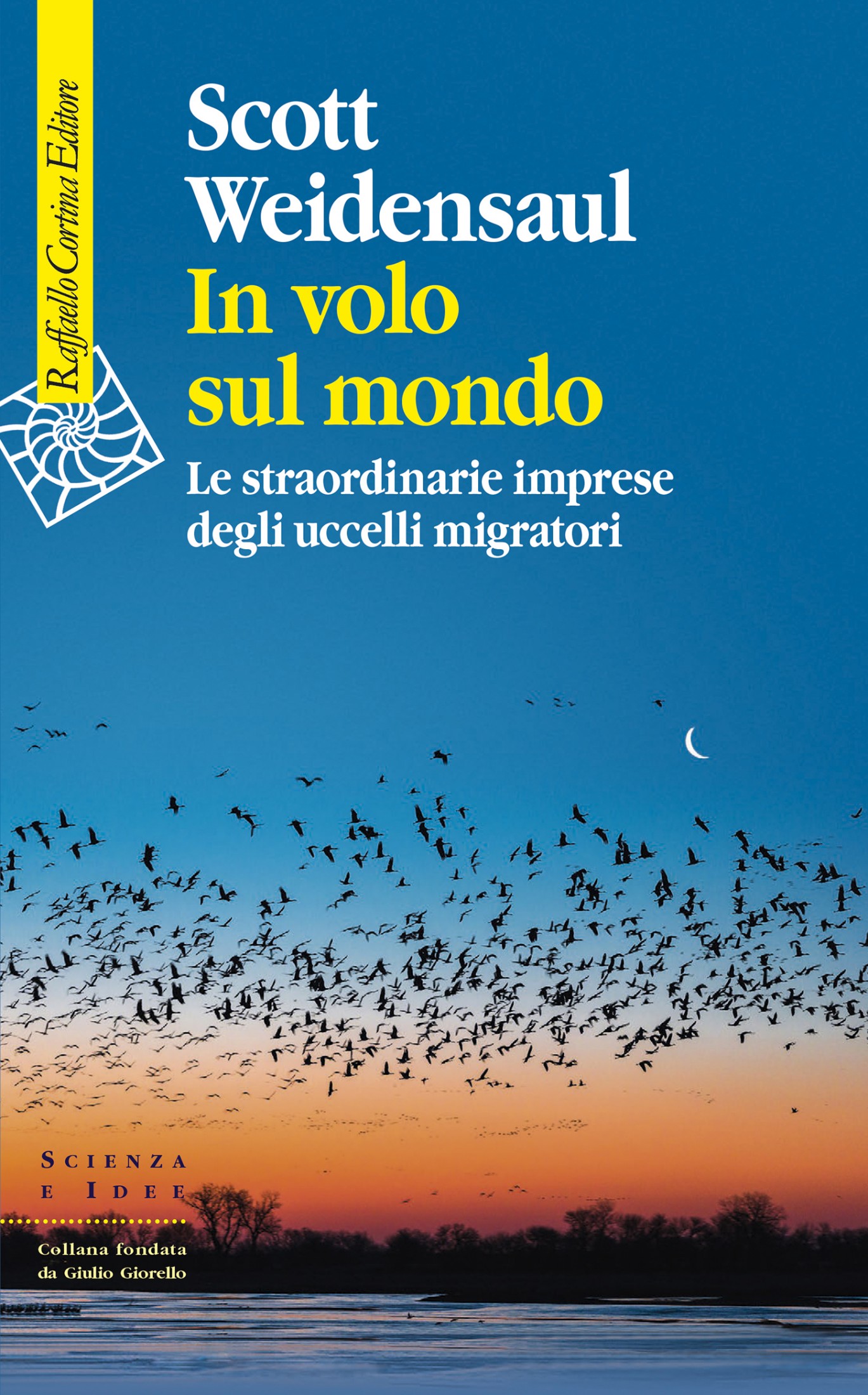 In volo sul mondo