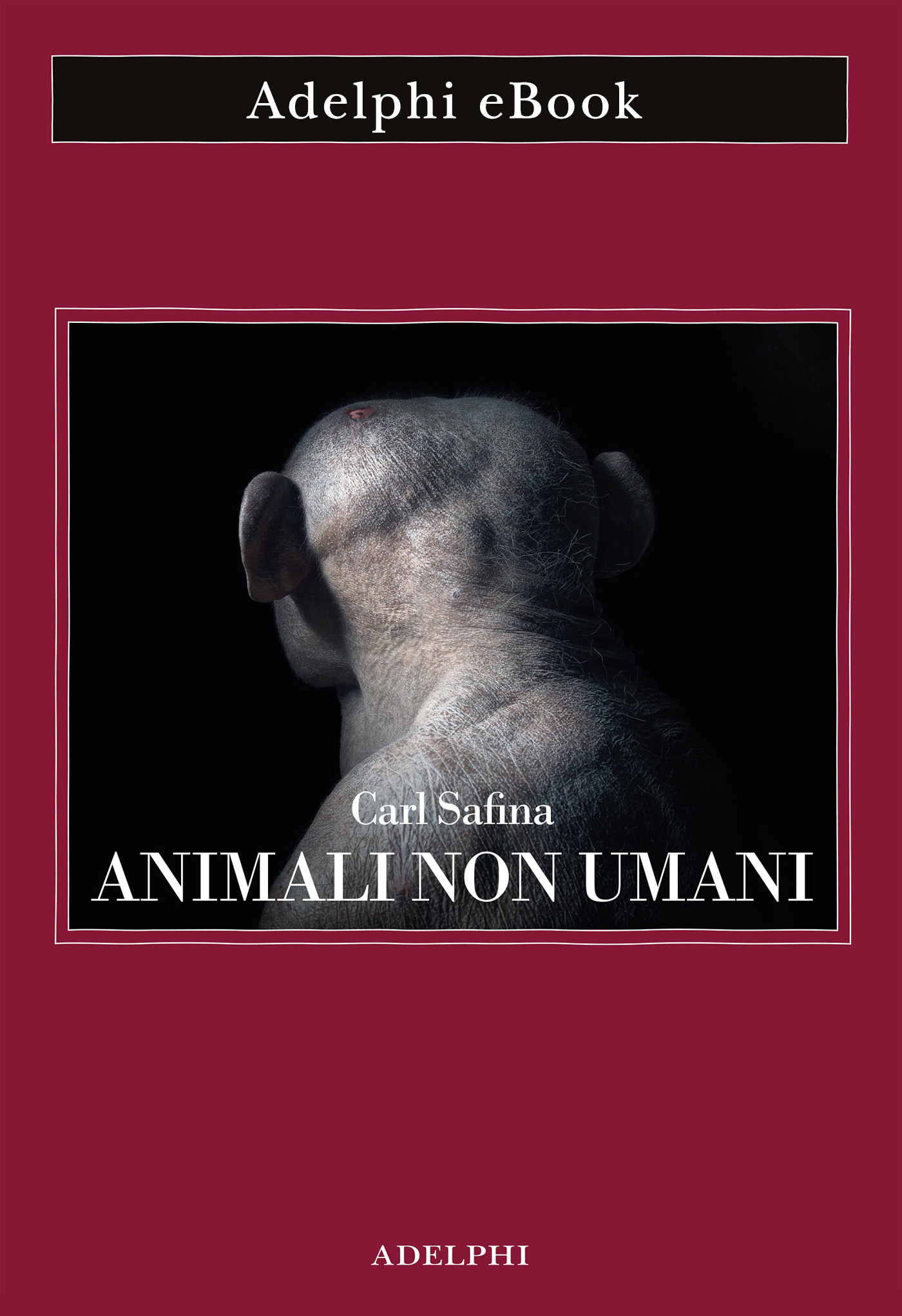 Animali non umani: Famiglia, bellezza e pace nelle culture animali