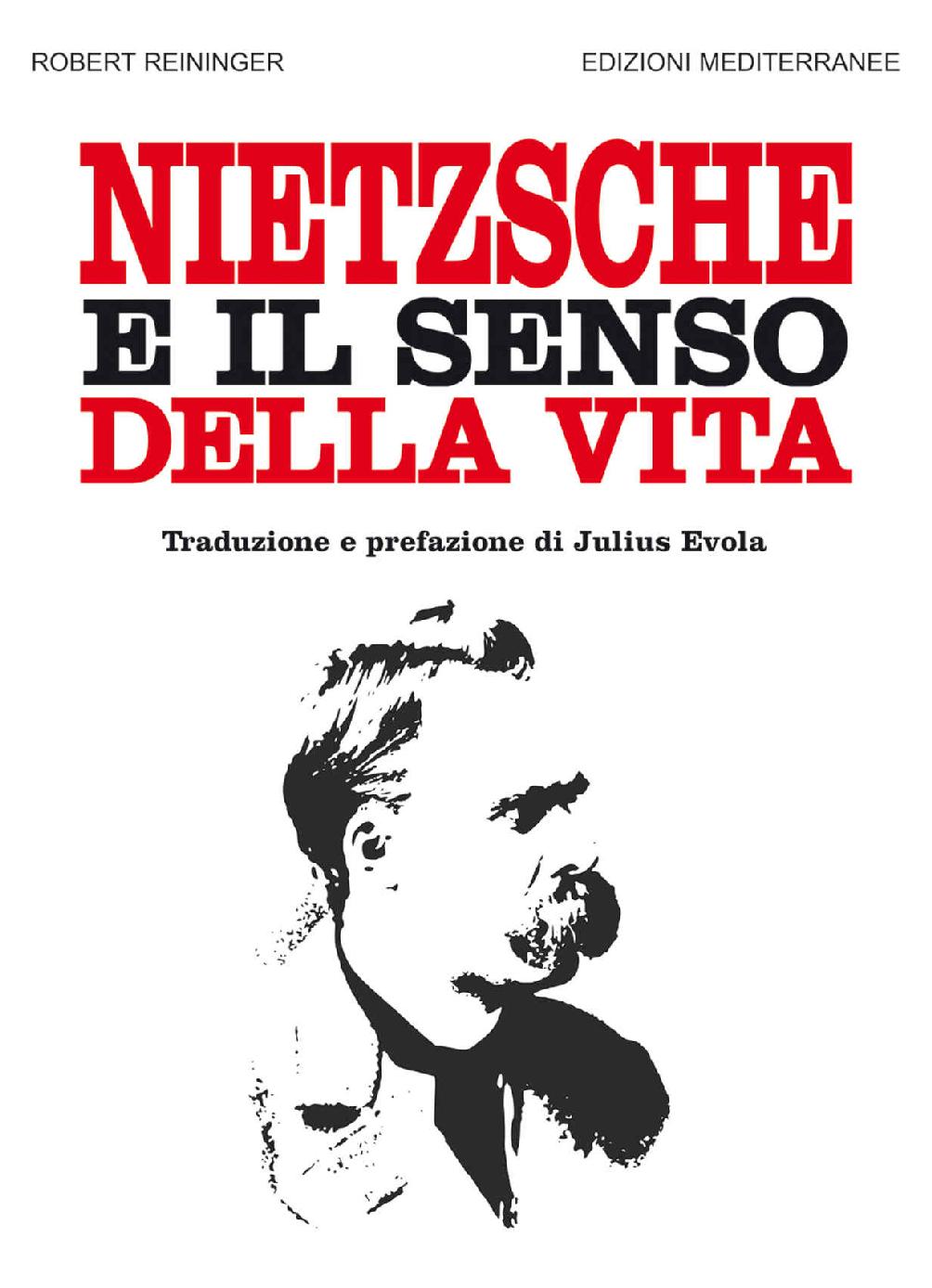 Nietzsche e il senso della vita (Italian Edition)