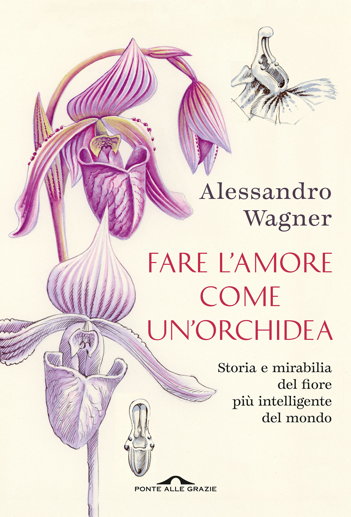 Fare l'amore come un'orchidea