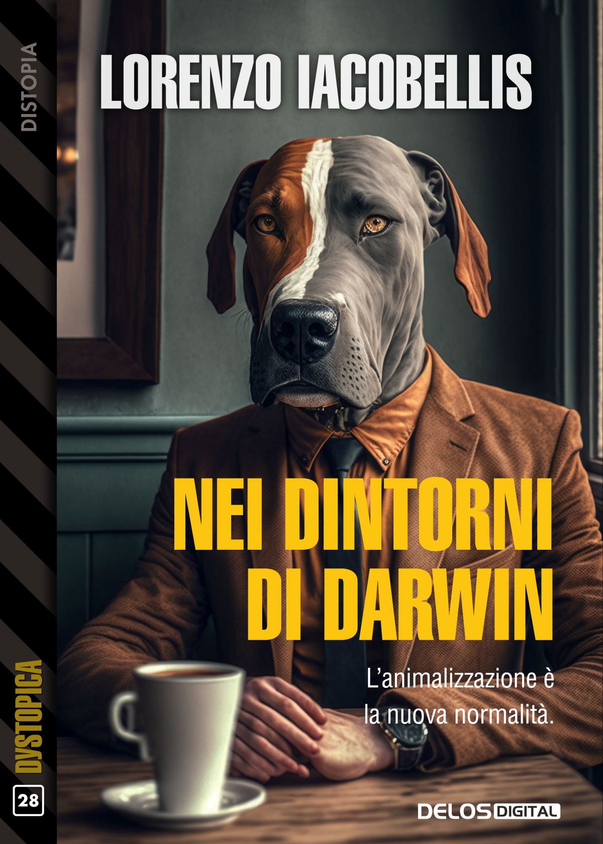 Nei dintorni di Darwin