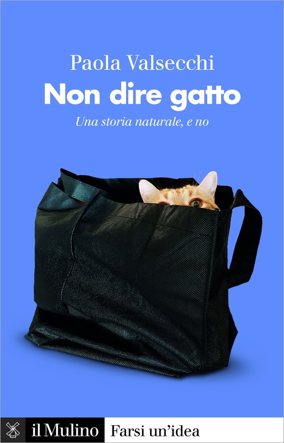 Non dire gatto