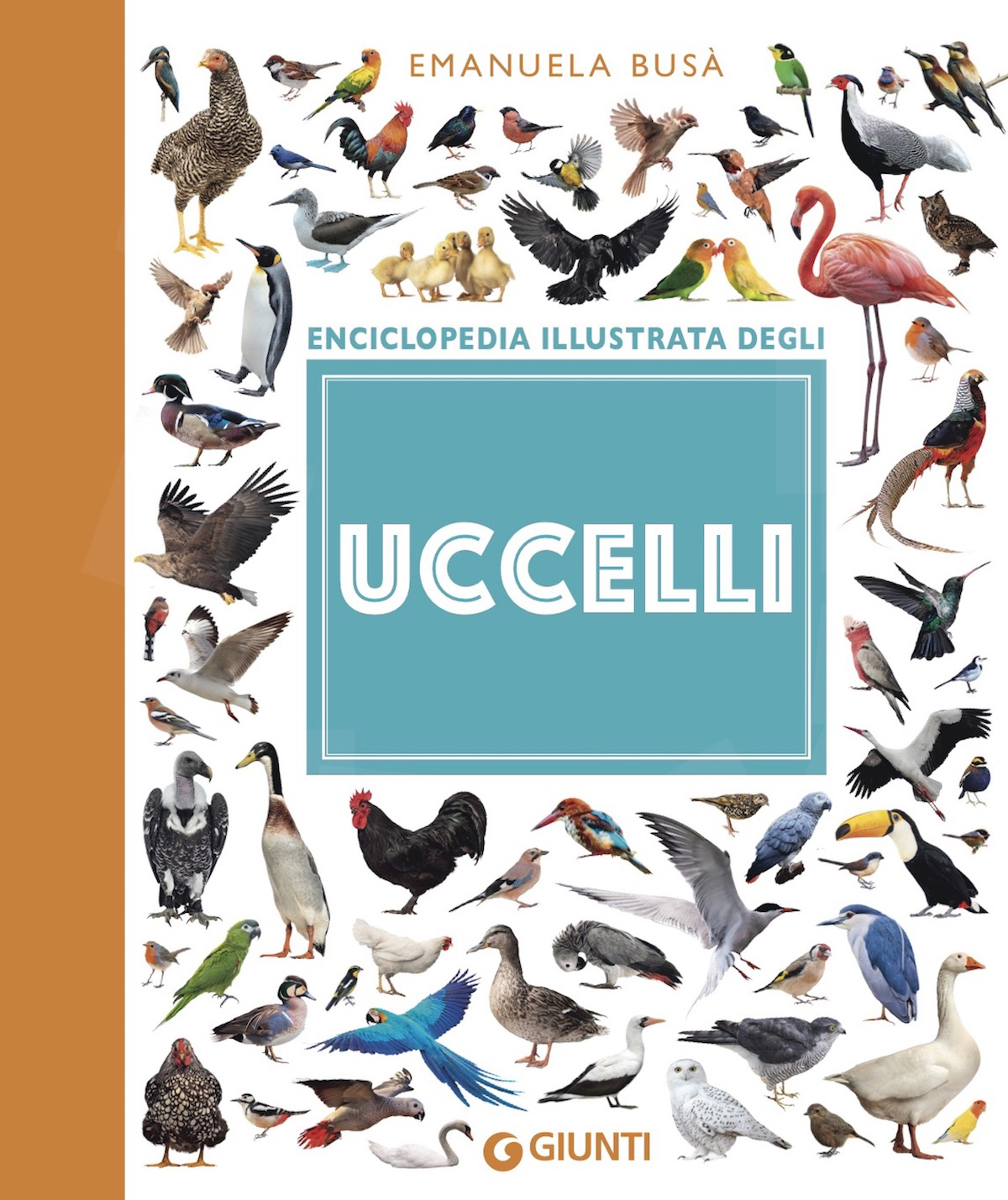 Uccelli