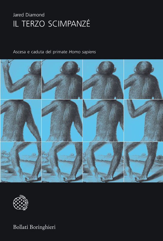 L'evoluzione dell'animale umano: «Il terzo scimpanzé» spiegato ai ragazzi. Testo originale di Jared Diamond adattato da Rebecca Stefoff