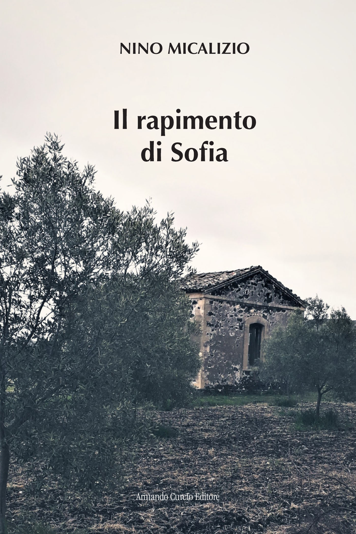 Il rapimento di Sofia